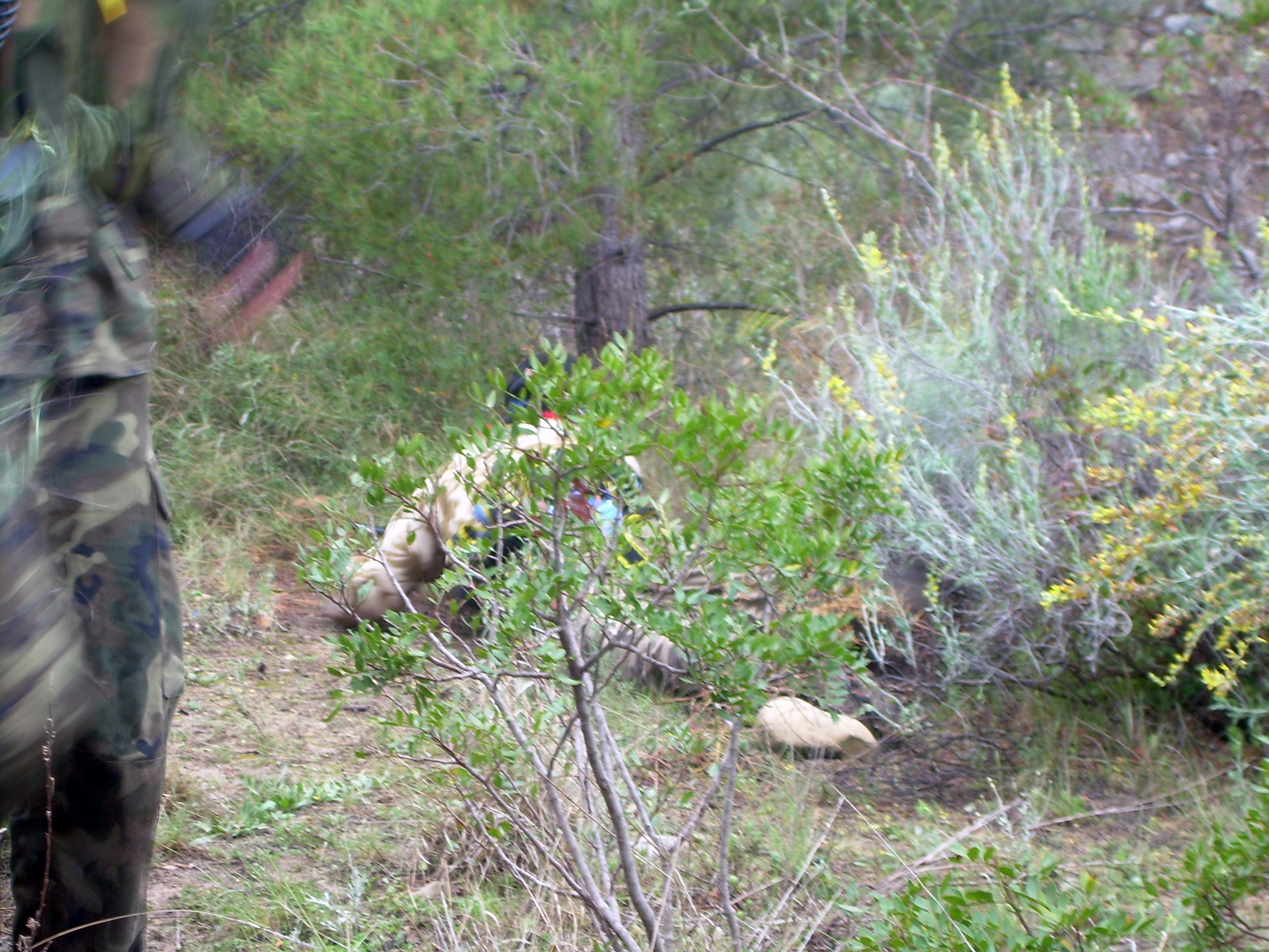 Fotografía DSCN0575 en el álbum Ribesalbes 2007